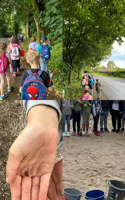 Fotocollage der Erlenbachschule